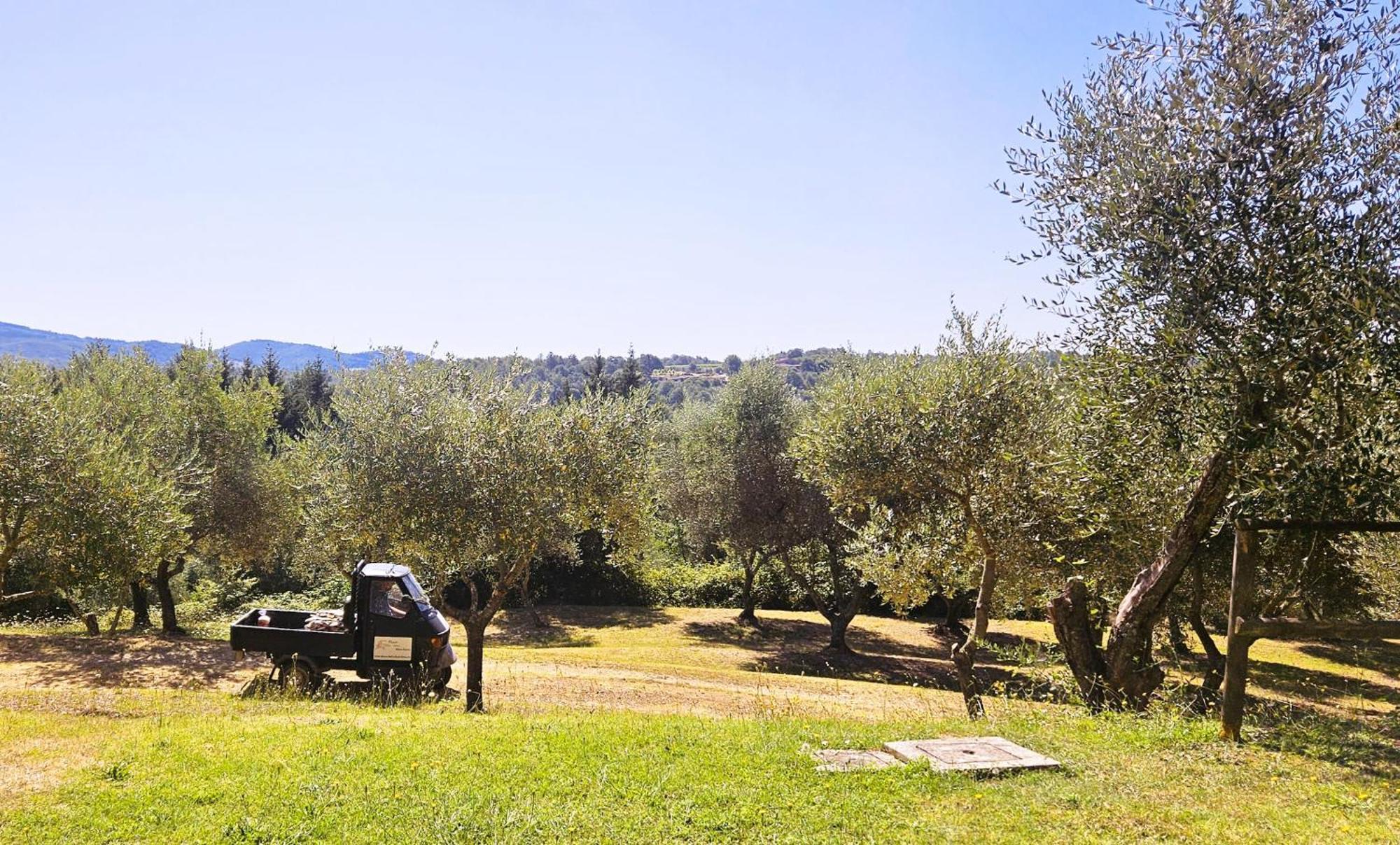 Apartment Pian Della Bandina *