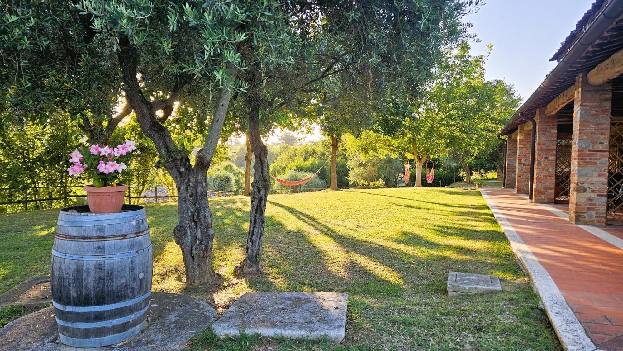 Pian Della Bandina Citta della Pieve